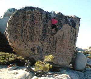 Hal Murray Climbs a Radially fractured boulder jackass dome CA