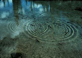 Refraction of light by two sets of ripples © 1999 Paul Doherty