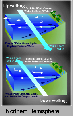 upwelling