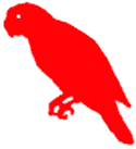 red parrot