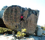 Radial Boulder on Jackass Dome 