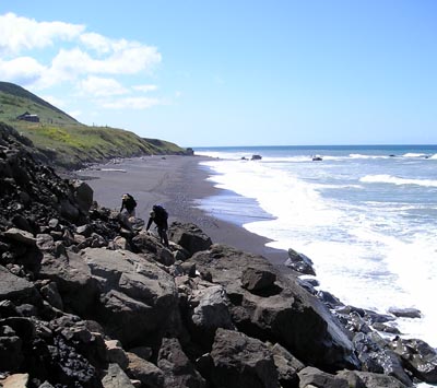 The tide came in and chased us up onto the rocks