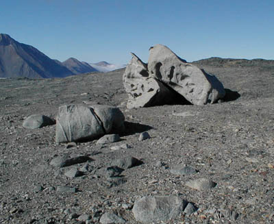 Cavernous weathering on a granite boulder.