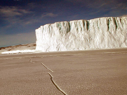 Barne glacier end