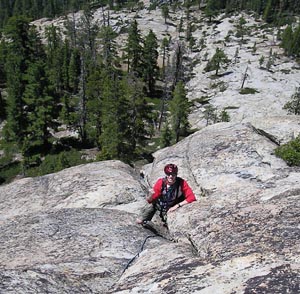 Dan McColgan on the Golden Toad