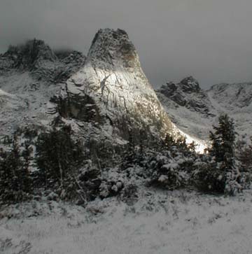 Pingora in the snow