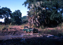 Crossing a river near sausage tree camp