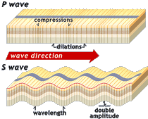 P and S waves by Dave Barker