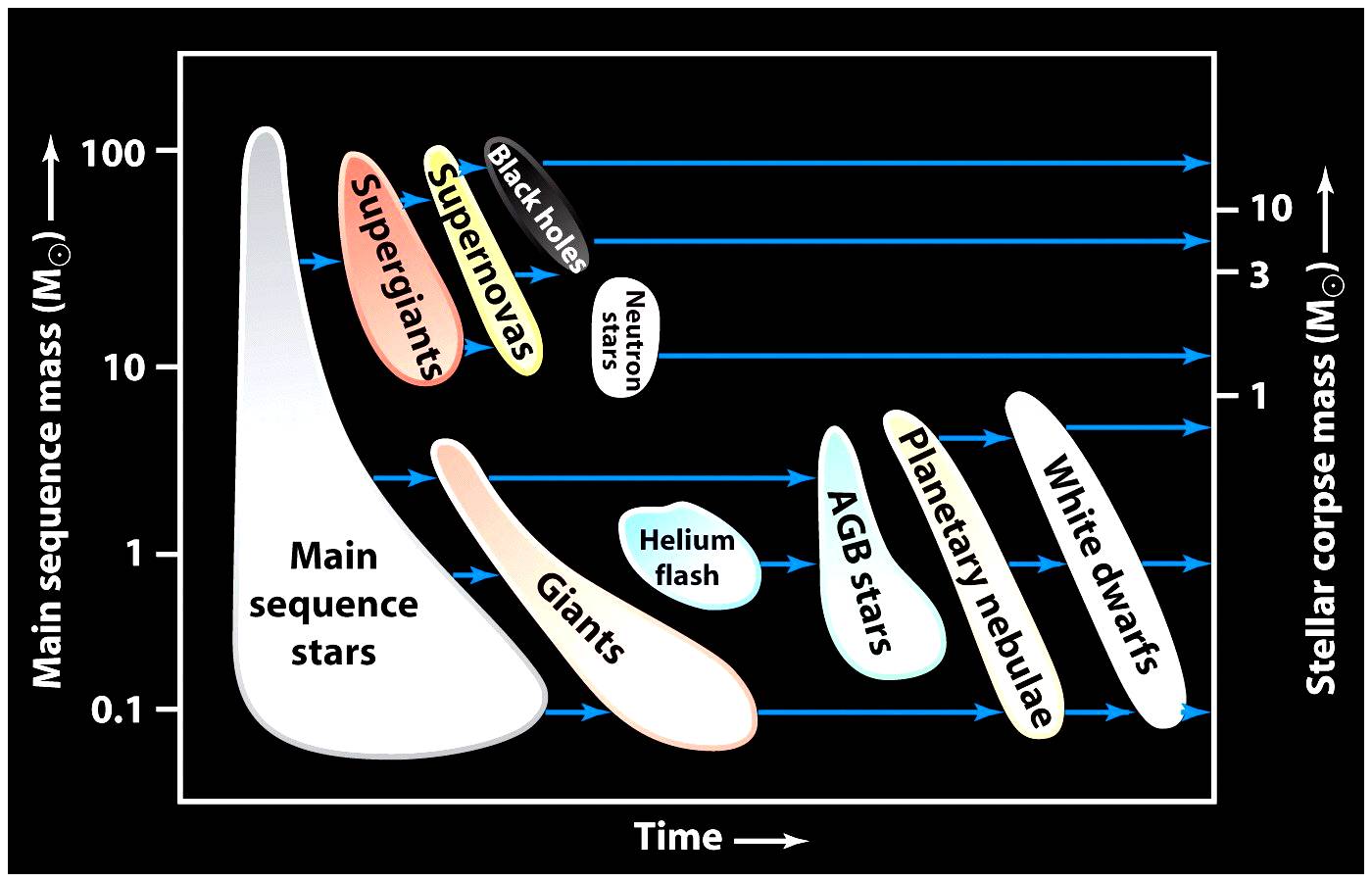 stellar evolution