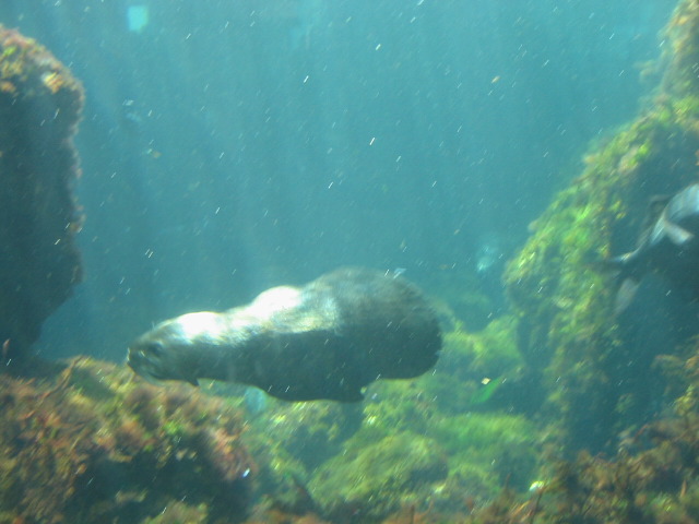 116-1610_img
