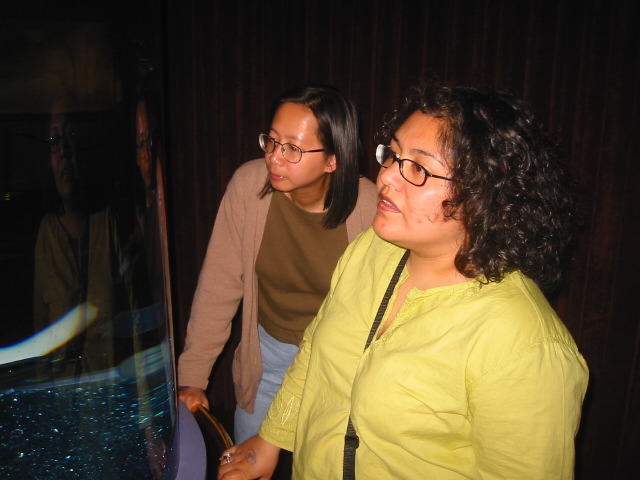 111-1176_img