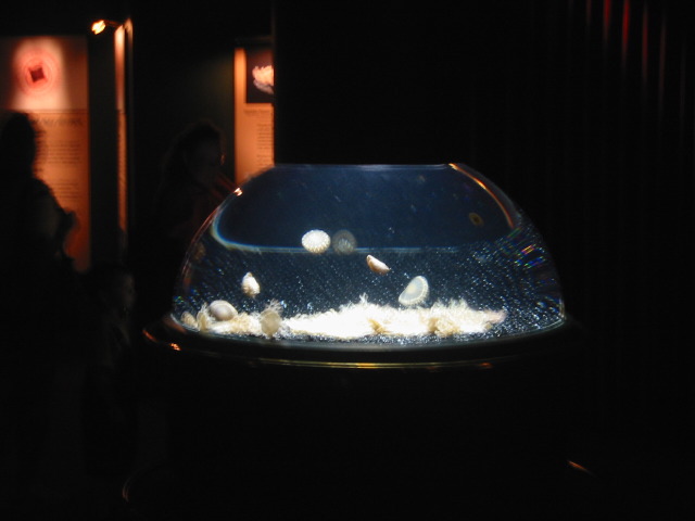 112-1201_img