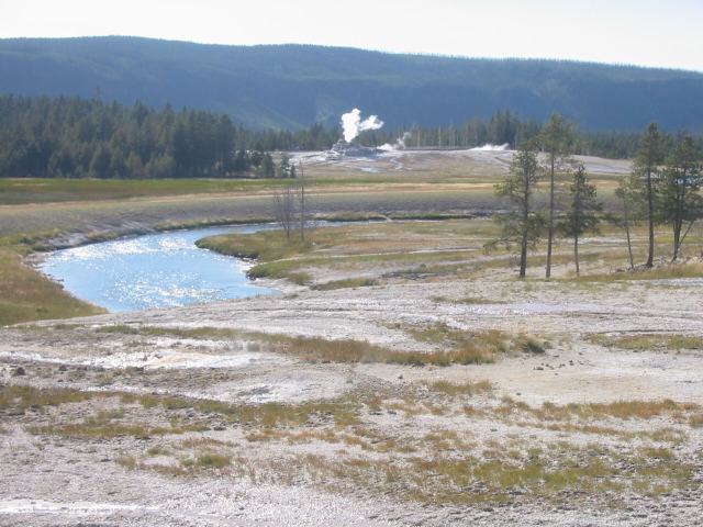 116-1695_img