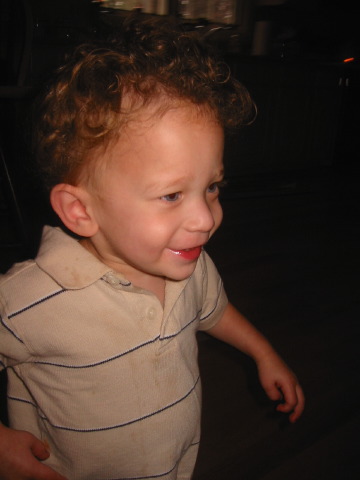 117-1741_img