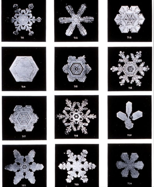 Bentley Snowflake Pictures. of snowflakes by Bentley.