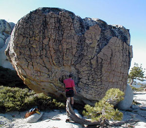 Hal Murray Climbs a Radially fractured boulder jackass dome CA