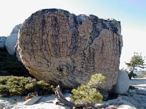 Radial Fractured boulder Jackass Dome CA