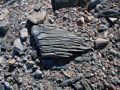shattered rock, crest of Andrews Ridge