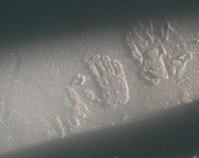 hand print in an ce cave