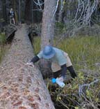 geting water from lost lake