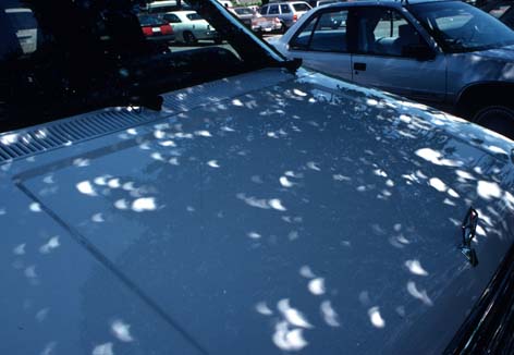 pinhole images of a partial eclipse