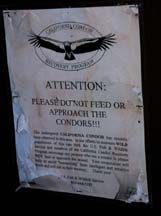 don't feed the condors sign