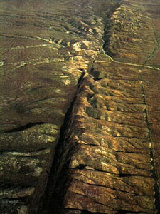 Carrizo Plains scarp aerial photo