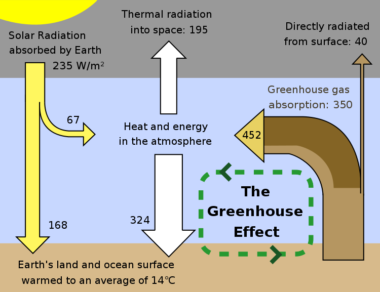 Greenhouse Effect