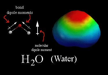 water dipole